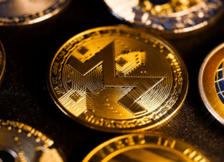 Bonk Coin Set to Shine: Revolut’s $1.2M Educational Campaign and Mainstream Listing