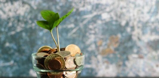 Learn These Concepts Regarding Compound Interest green plant in clear glass vase