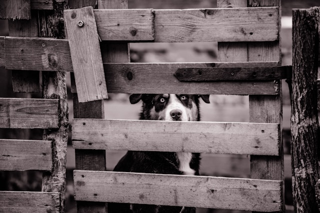 janko-ferlic-jEQCKQjbRag-unsplash