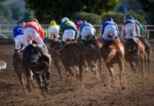 Here are 5 Strategies For Success in Melbourne Cup Wagering group of men riding horses near tree during daytime