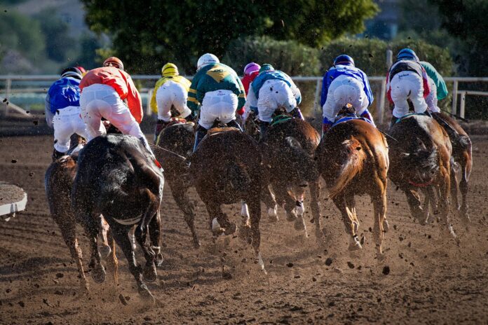 Photo by Gene Devine group of men riding horses near tree during daytime