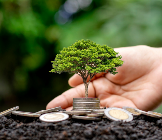 How to Build a Sustainable Investment Portfolio – Farnoush Farsiar’s Expert Tips