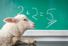 How to Solve Math Homework Problems Quickly and Accurately white sheep on white surface