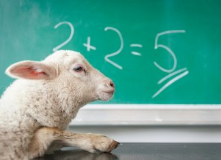 How to Solve Math Homework Problems Quickly and Accurately white sheep on white surface
