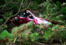 Motorcycle vs. Car Accidents: Key Differences in Injury Claims A red car trapped under fallen trees, showcasing the aftermath of a storm.
