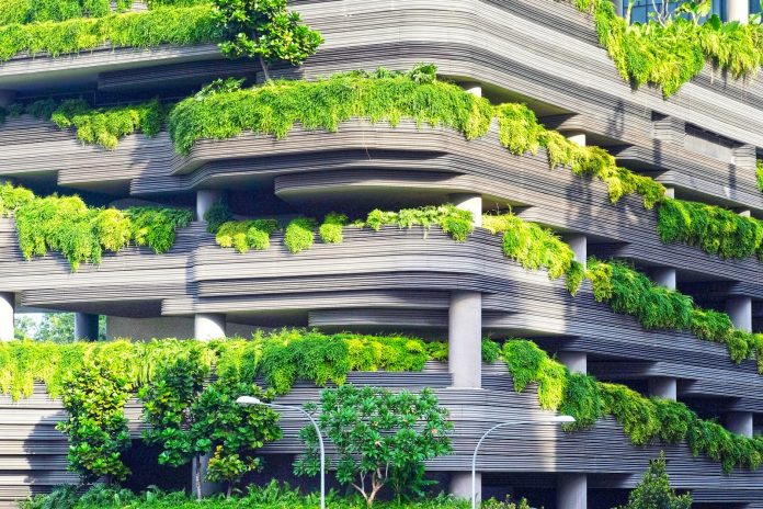 Photo by Danist Soh gray concrete building covered trees