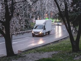 Fuel Inefficiency: 5 Mistakes Your Business Must Avoid white van on road near trees during daytime