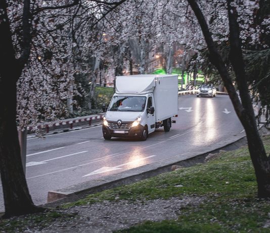 Fuel Inefficiency: 5 Mistakes Your Business Must Avoid white van on road near trees during daytime