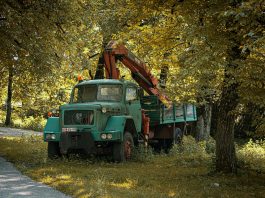 Why Industrial Tools and Vehicles Age Faster Than They Should An old truck with a crane sits among the trees.