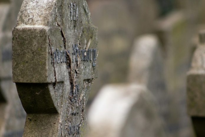 Photo by Kai Butcher text