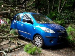 Resources for Injured Drivers in Need of Legal Support