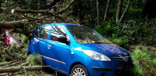 Resources for Injured Drivers in Need of Legal Support
