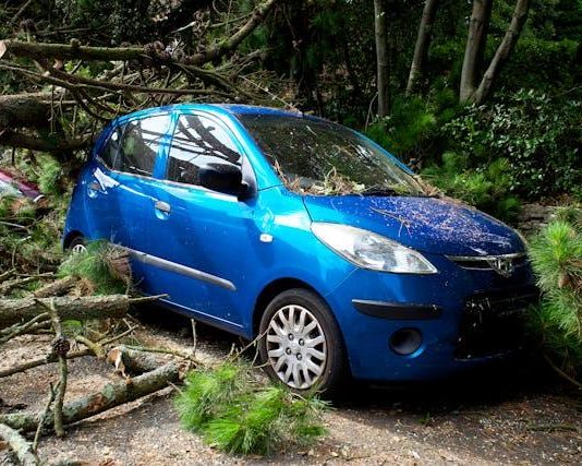 Resources for Injured Drivers in Need of Legal Support