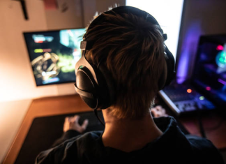 How Storytelling Shapes the Experience of Online Games