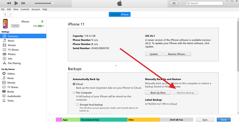 pick the restore backup option